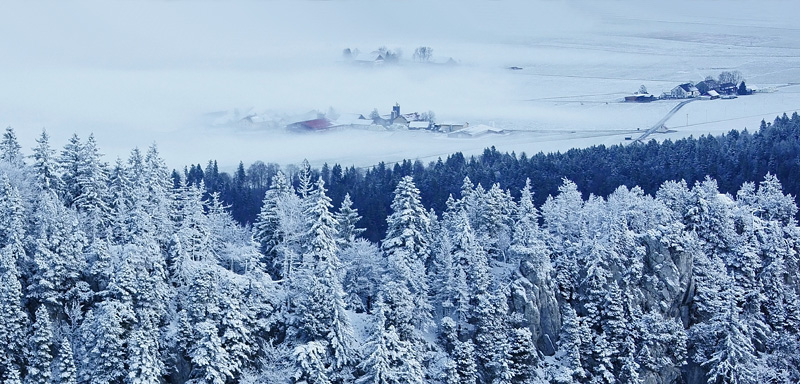 image&nature 01.jpg