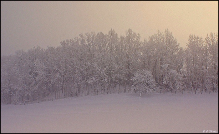 02 décembre 2010 014.JPG