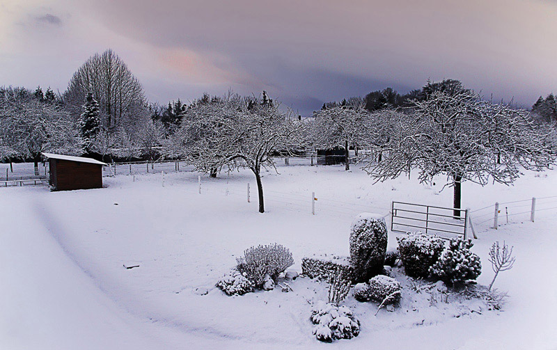 neige en Normandie.jpg