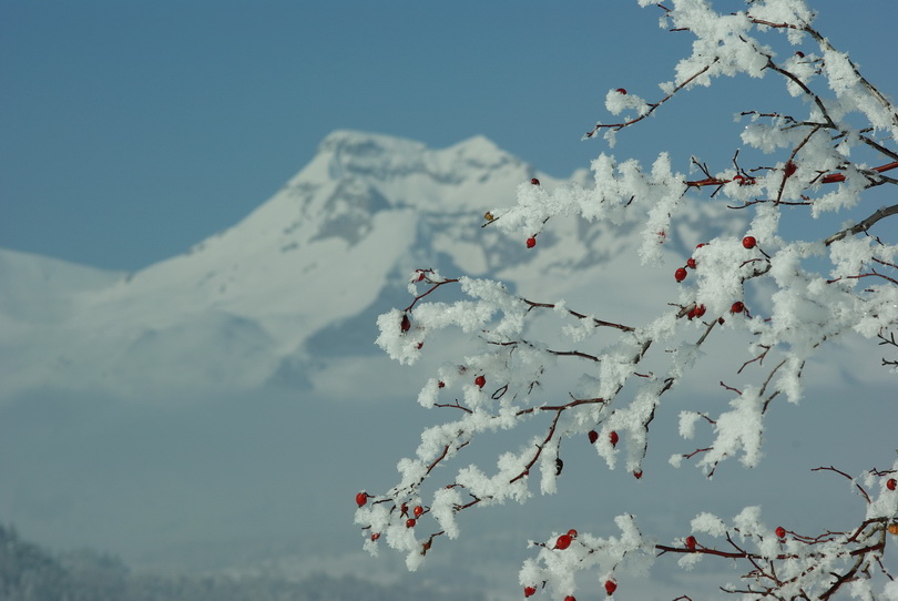 devoluy hiver 2010.jpg
