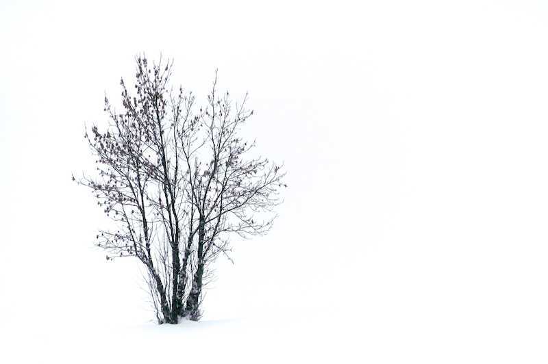 Solitude.jpg