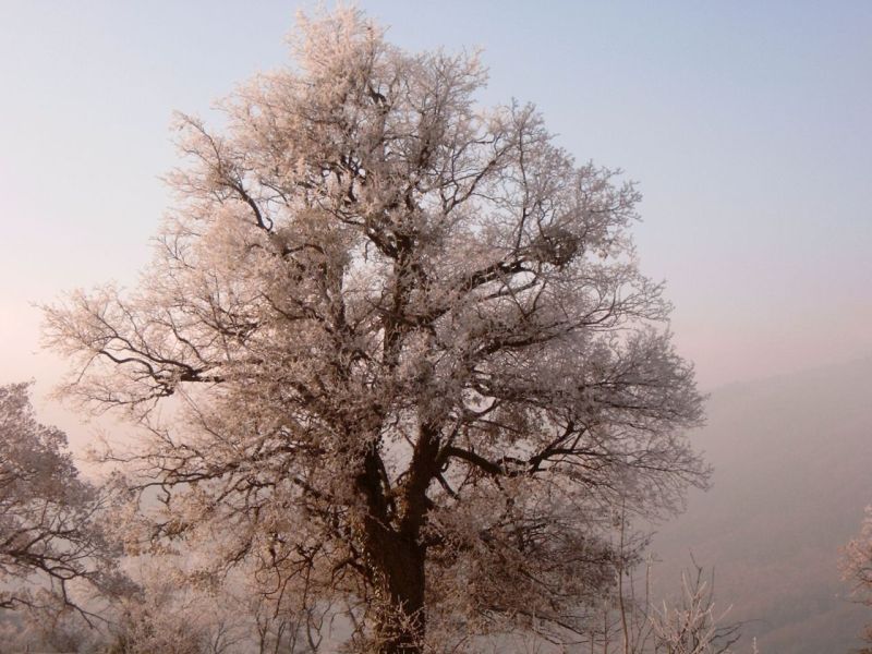 givre3.jpg