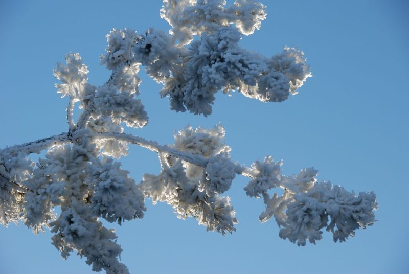 givre1.jpg