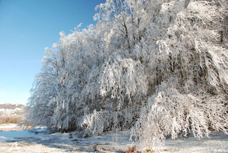 givre2.jpg