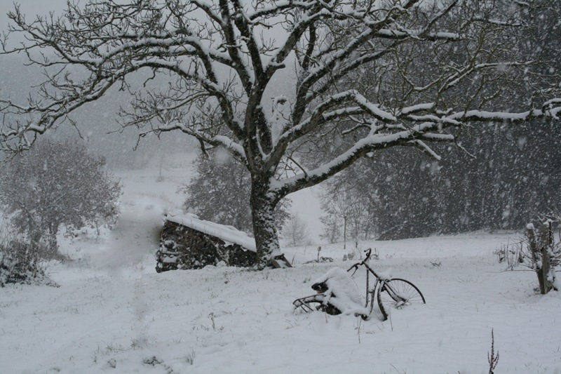 VELO NEIGE_7955.JPG