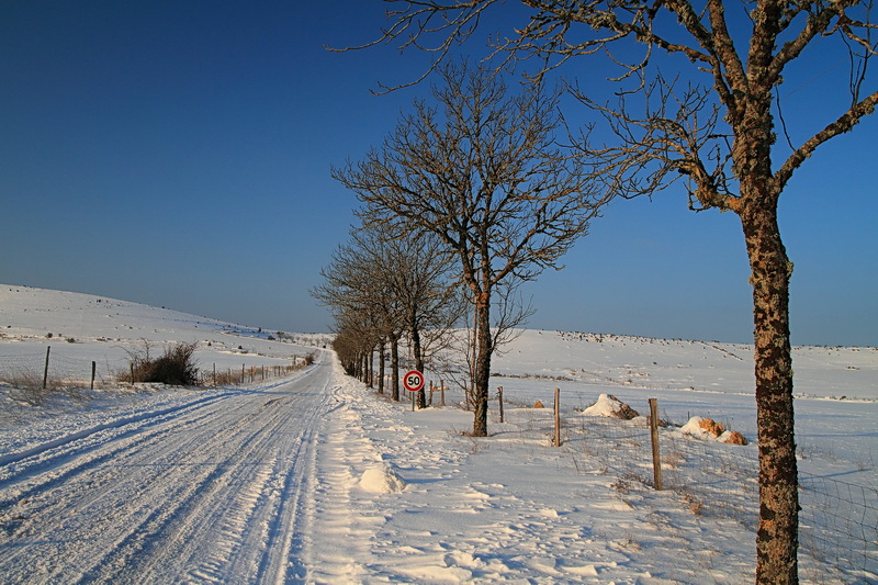 causse noir en hiver.jpg