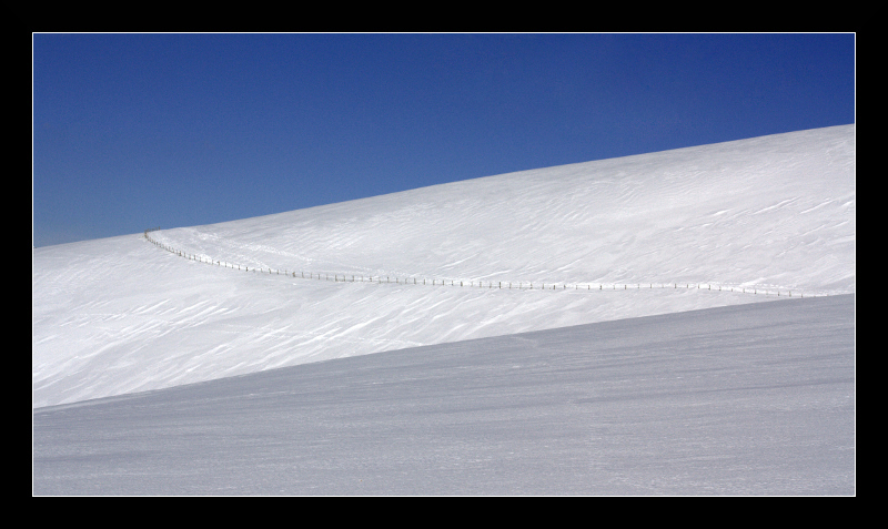 IMG_7566-2.jpg