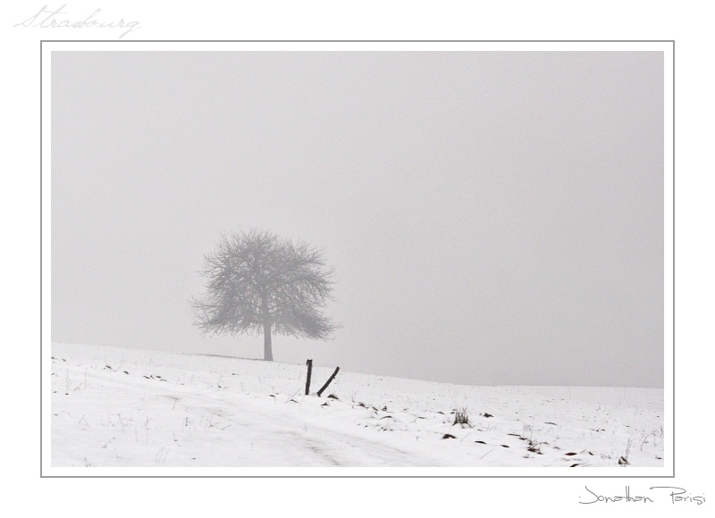 _DSC5762a-border.jpg