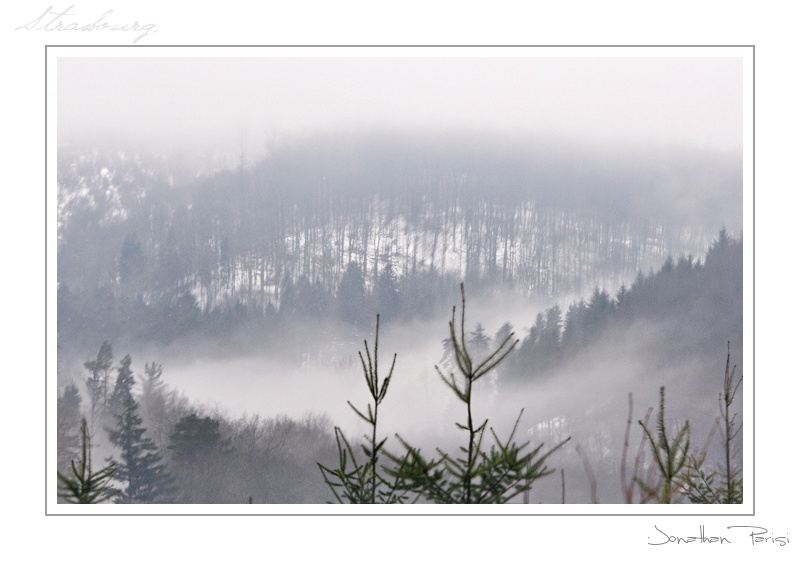 _DSC5770a-border.jpg