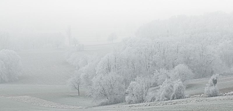 DSC_0712.JPG