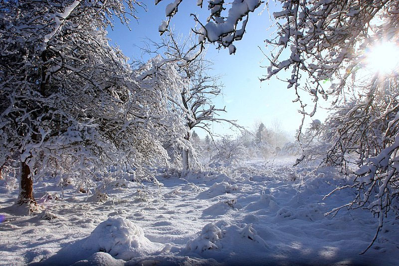 Versailles-neige-800px.jpg