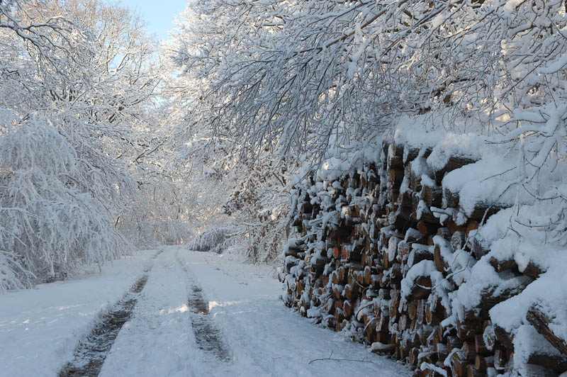 ImaNat-Neige-FrancoisB-1.jpg