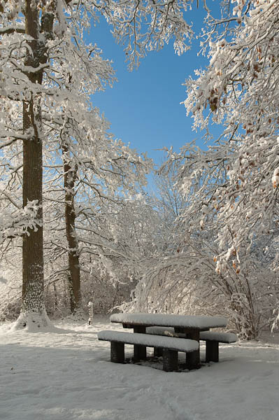 ImaNat-Neige-FrancoisB-2.jpg