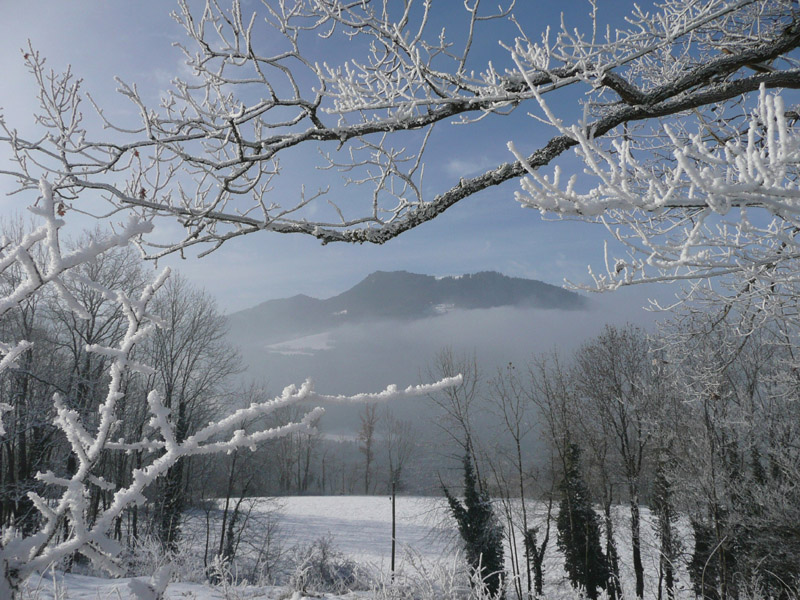 P1010984 copie.jpg