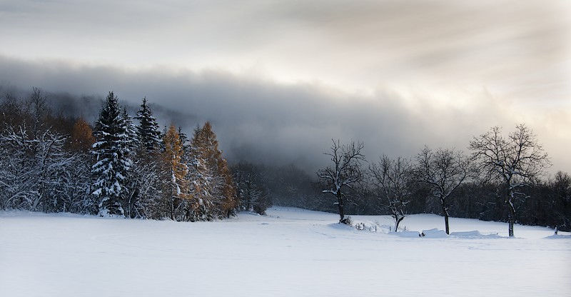 DSC_0154_718.jpg