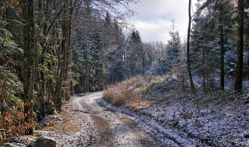hdr1 plus claire.jpg