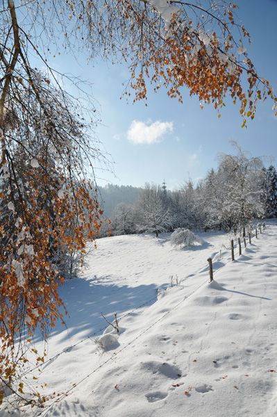 photo 2.jpg