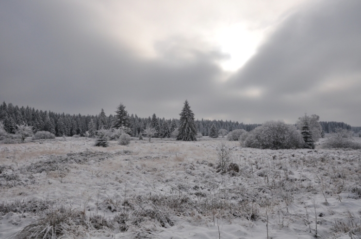 Paysage hiver 2.jpg 3.jpg