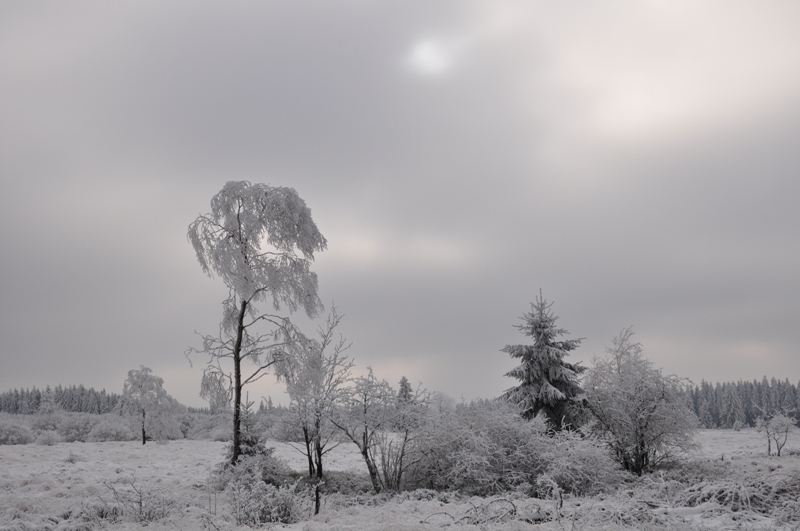 Paysage hiver 1.jpg
