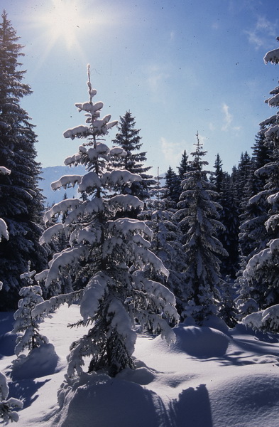 Image01 1.jpg