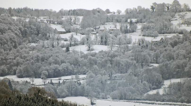 image&nature3.jpg