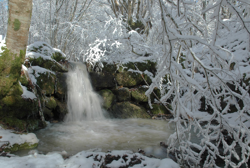 ruisseau-sous-la-neige-copie.jpg