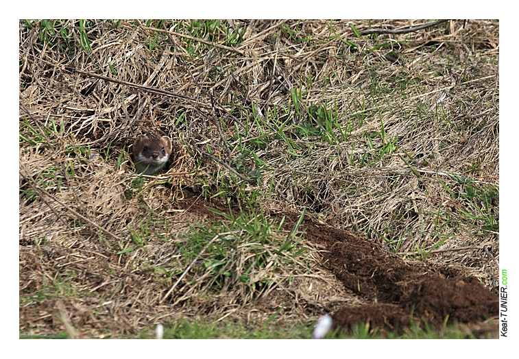 090417-Hermine-152R.jpg