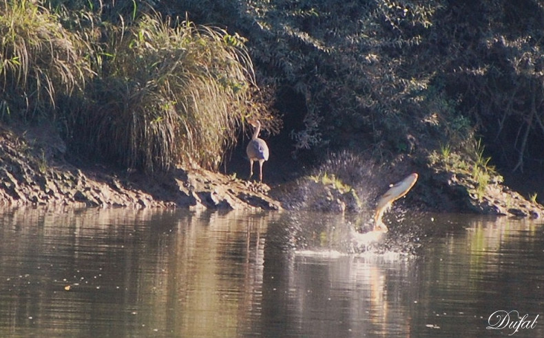 DSC_0004-border.jpg