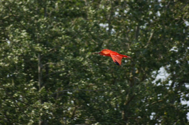 DSC02088.jpg