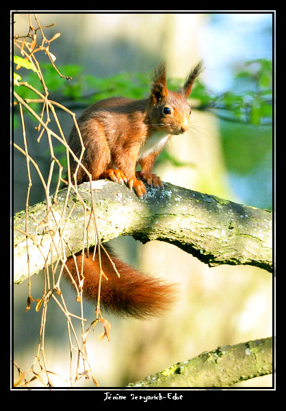 DSC_0765-border.jpg