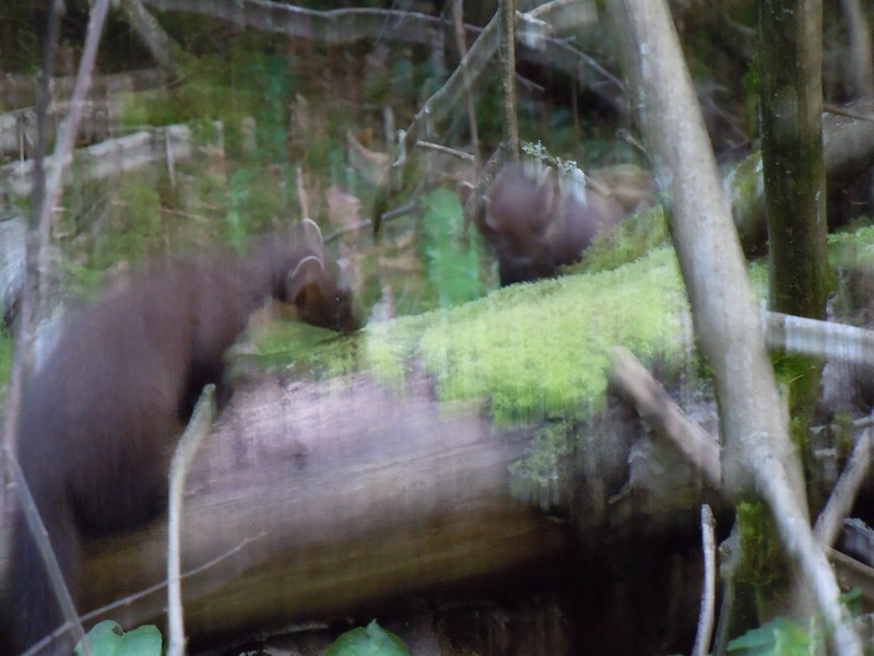 DSCN0477.JPG
