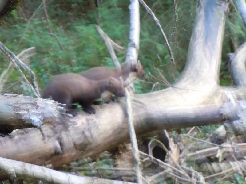 DSCN0478.JPG