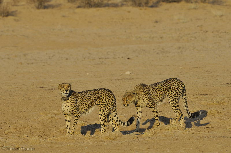 DSC_15635.JPG