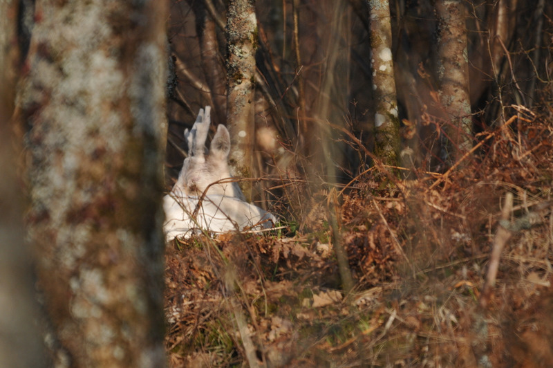 DSC_6753.JPG