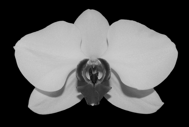 _PBC0375-Modifier.jpg