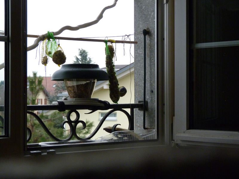 P1280556.jpg