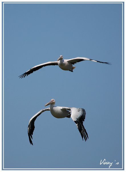 DSC_0186-b.jpg