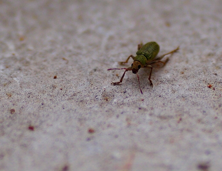 DSC05830.JPG