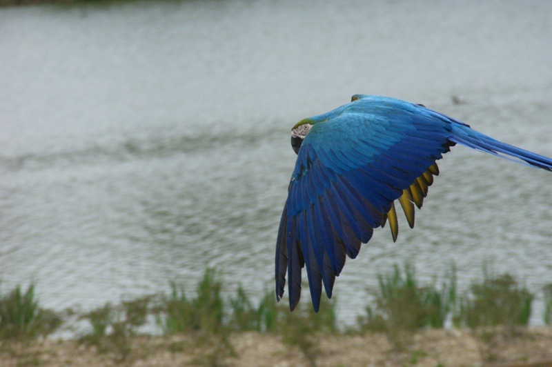 DSC04305-lr.jpg
