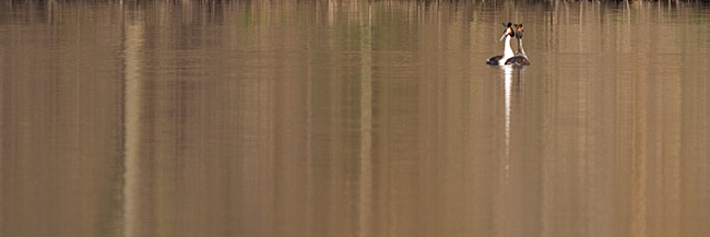 IMGP3541c.jpg