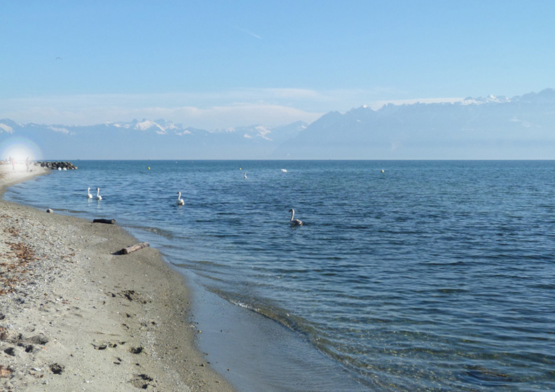 P1190406-1.jpg