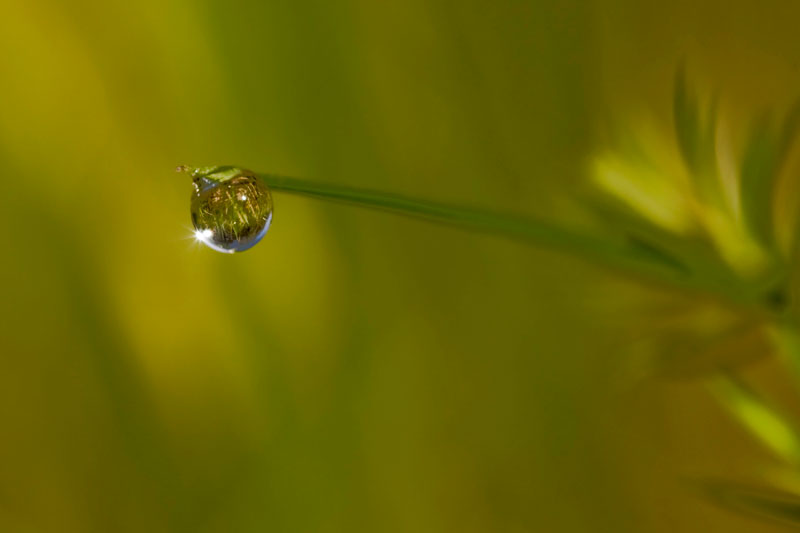 goutte-eau-1.jpg