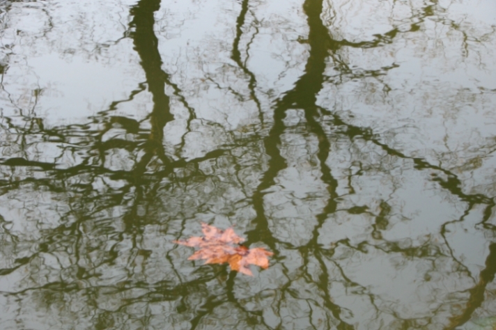 automne-1.jpg