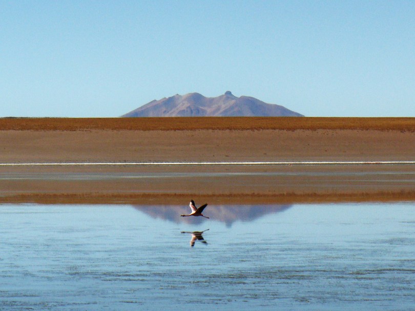 P1040424_R.JPG