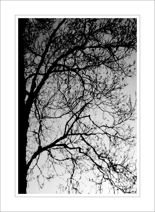 encre-naturelle.jpg