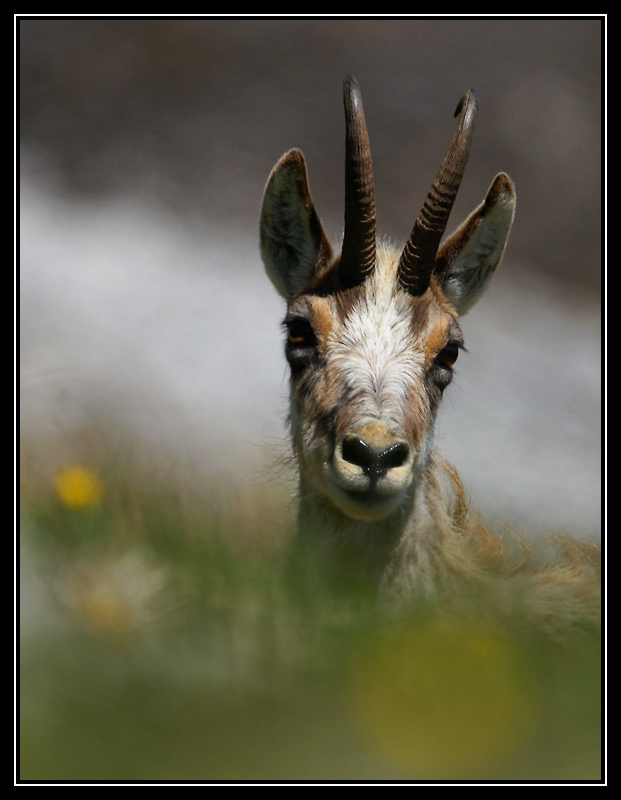 DSC01687-lr1.jpg