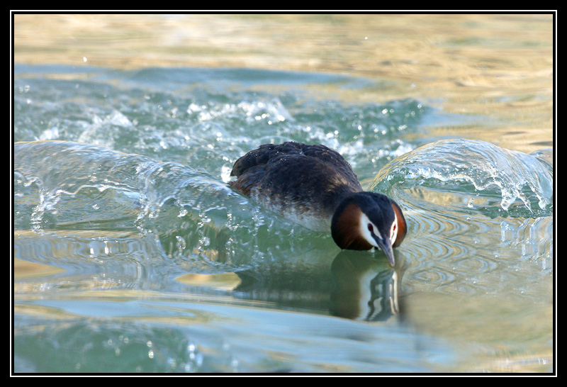 DSC00848-lr3.jpg
