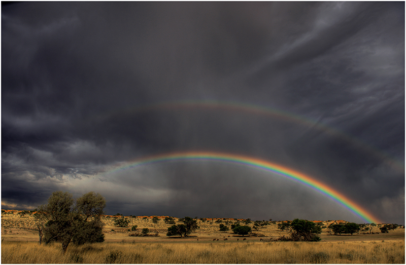 17-Double arc en ciel sur le Kalahari.jpg
