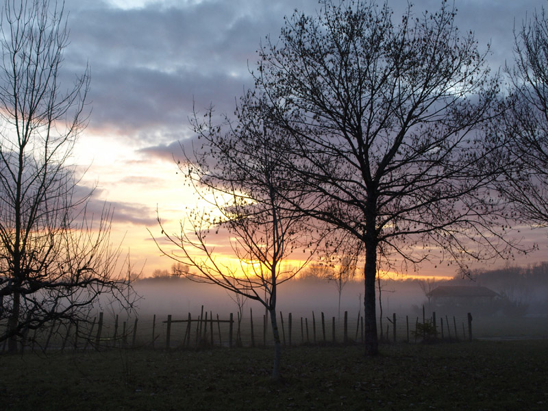 Coucher de soleil brumeux.jpg