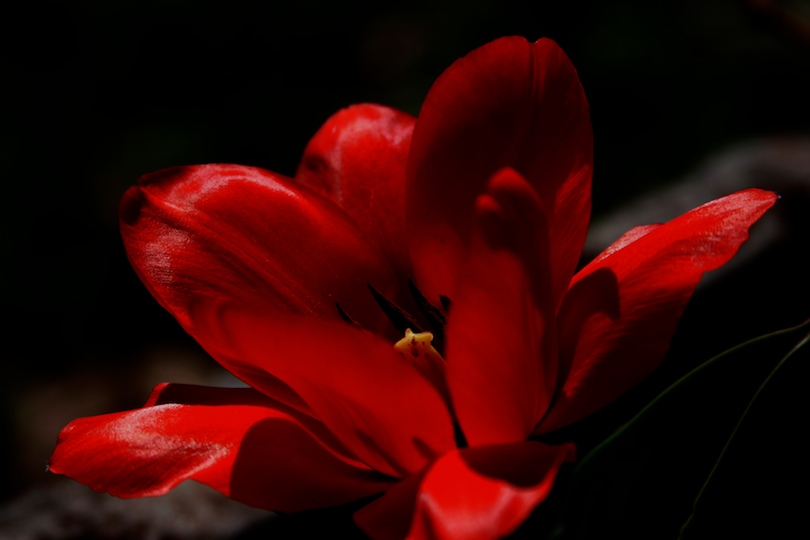 480_8042.jpg